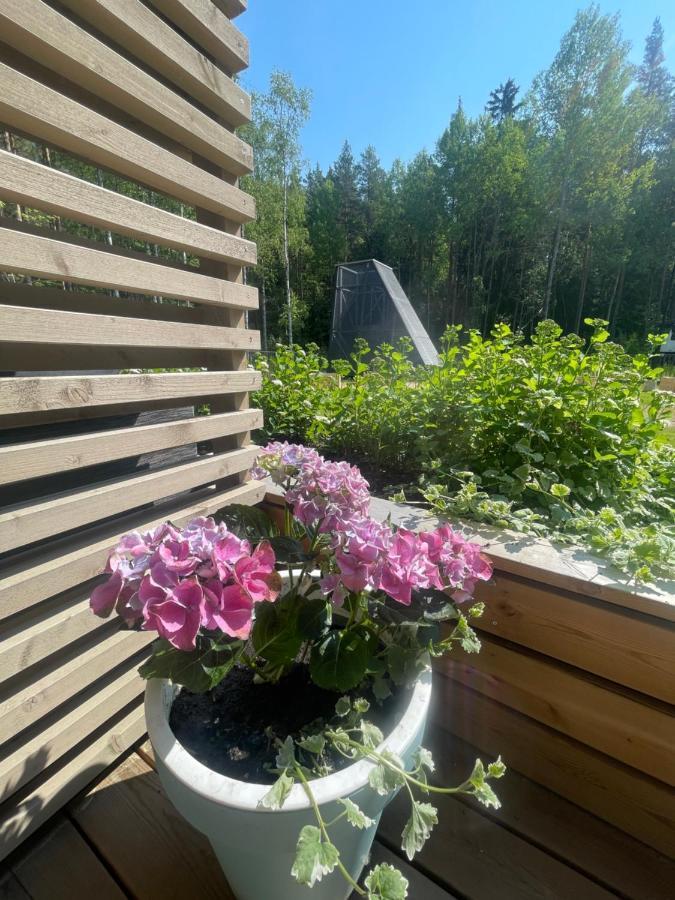 Haalia Homes Turku Paeaeskynpesae Eksteriør bilde